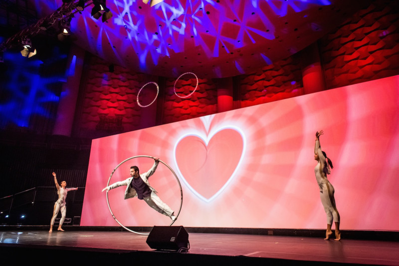 Cyr Wheel und Gymnastik Show