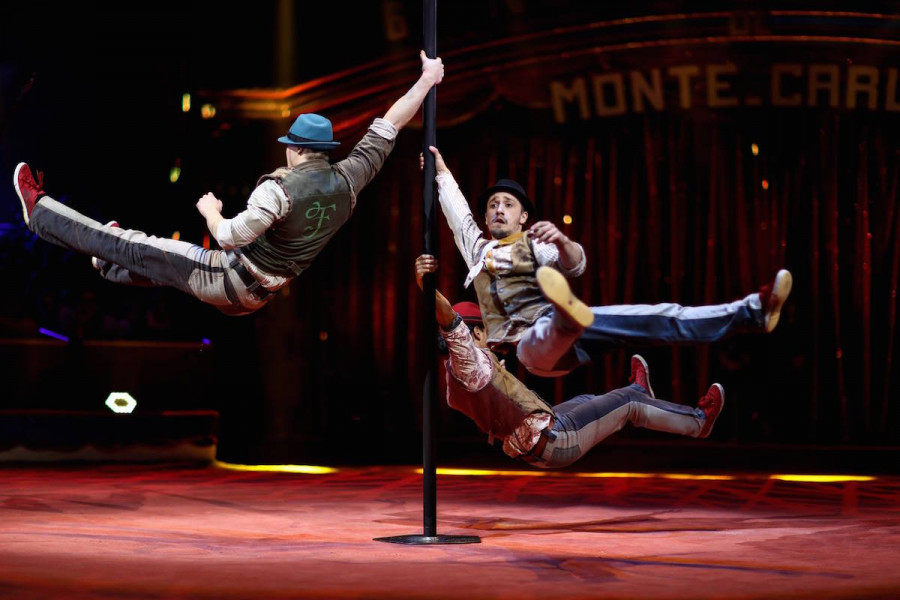 Chinesischer Mast Perfomer