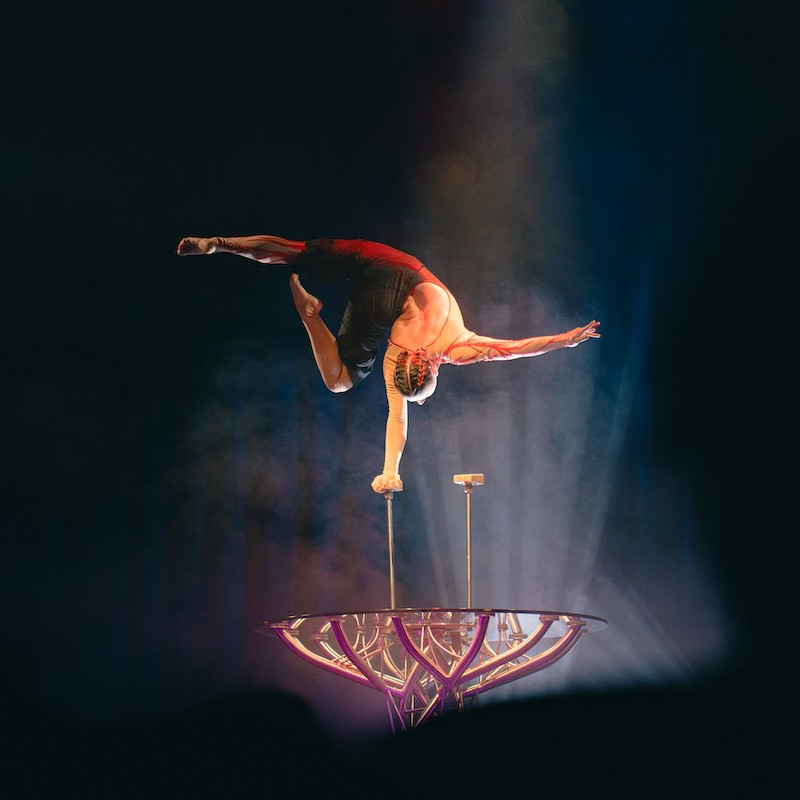 Einarmer Handstand Show