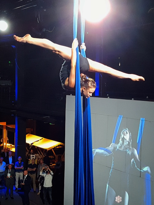 Aerial Acts - Vertical Tissue Artists