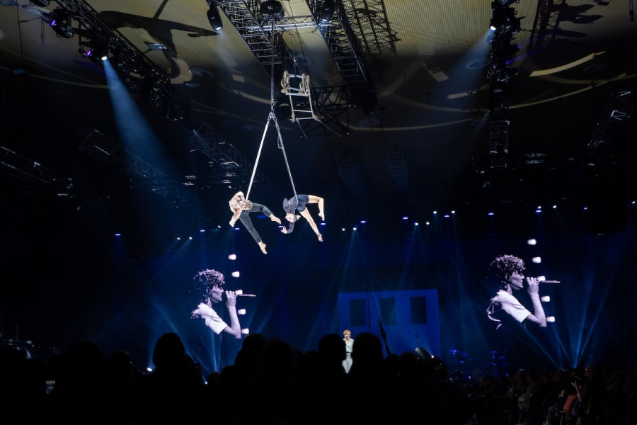 Duo Aerial Straps for booking