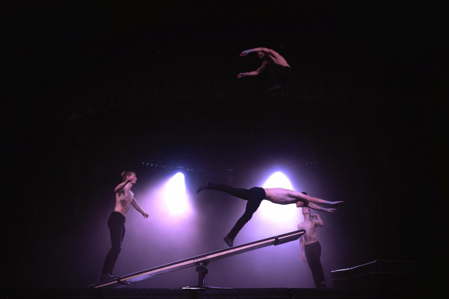 Team Sprungartisten Showact